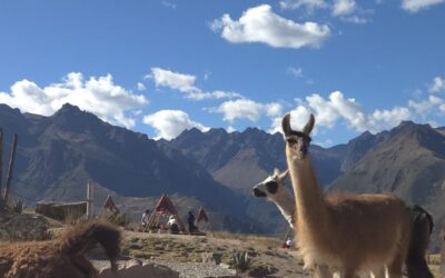 Day 11: Gospel Seeds in Urubamba